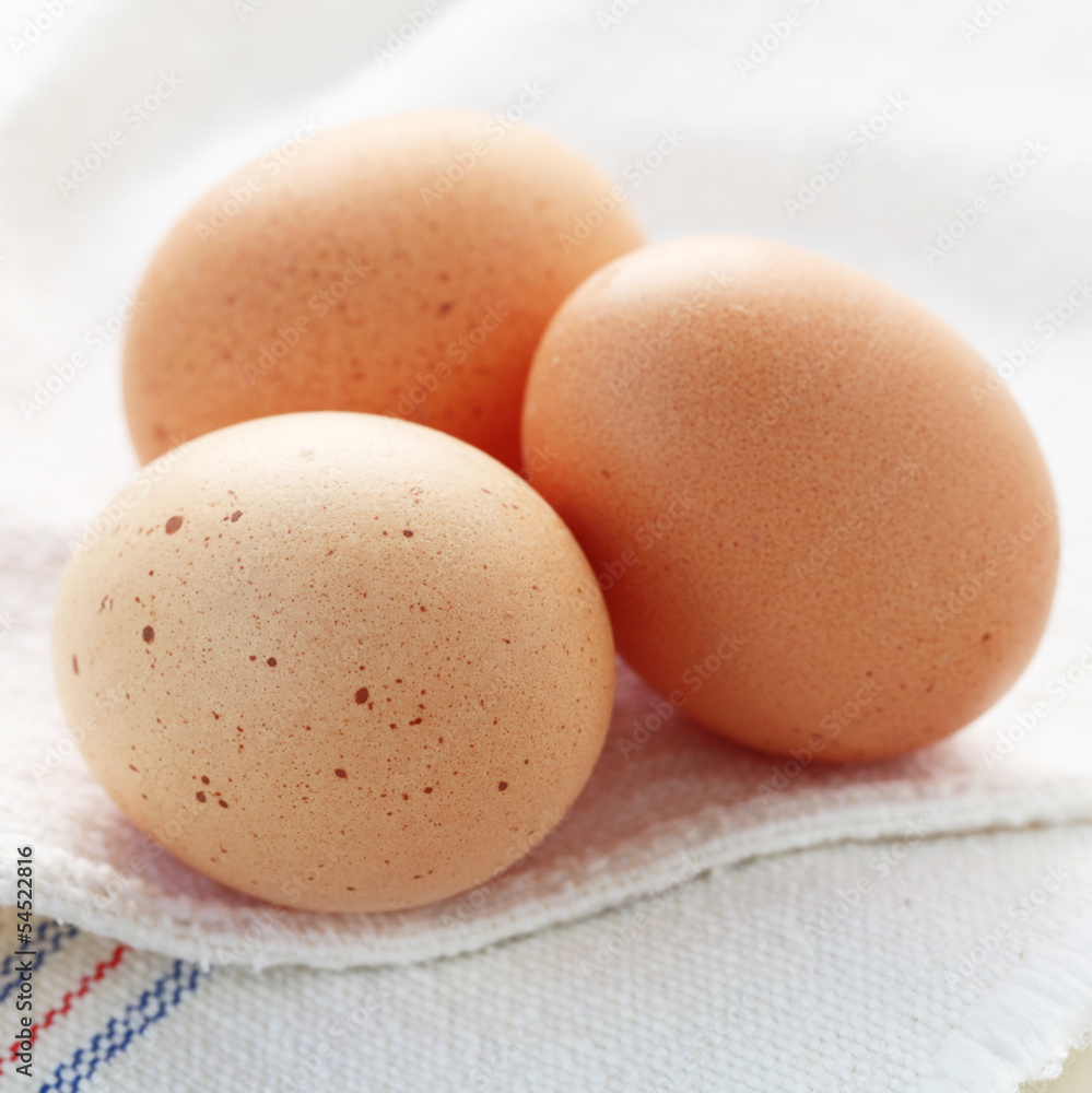 Eggs Eggs