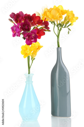 Beautiful freesia in vases isolated on white