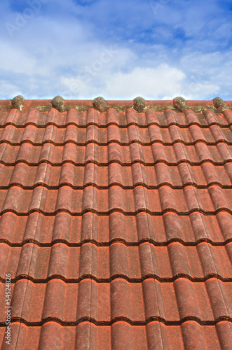 Tiled Roof with Fluffy Cloud Blue Sky 108