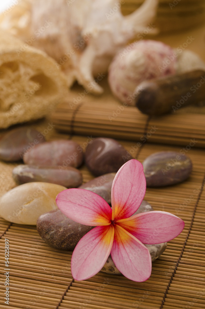 tropical spa setup with traditional frangipani flower and massag tropical spa setup with traditional frangipani flower and massag