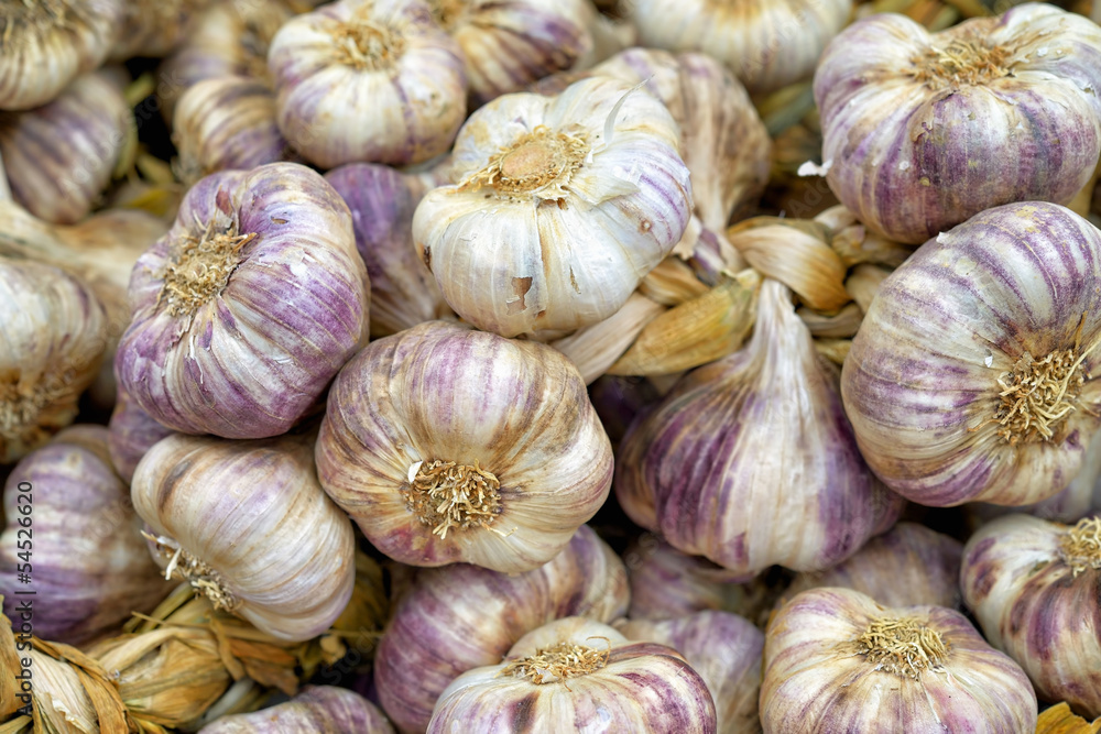 Selection of red garlic closeup image Selection of red garlic closeup image