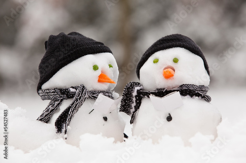 Two little snowmen photo