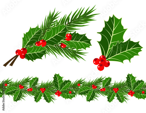 holly leaves and berries
