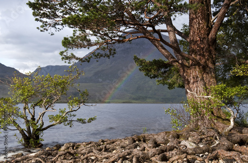 Loch Maree Rainbow