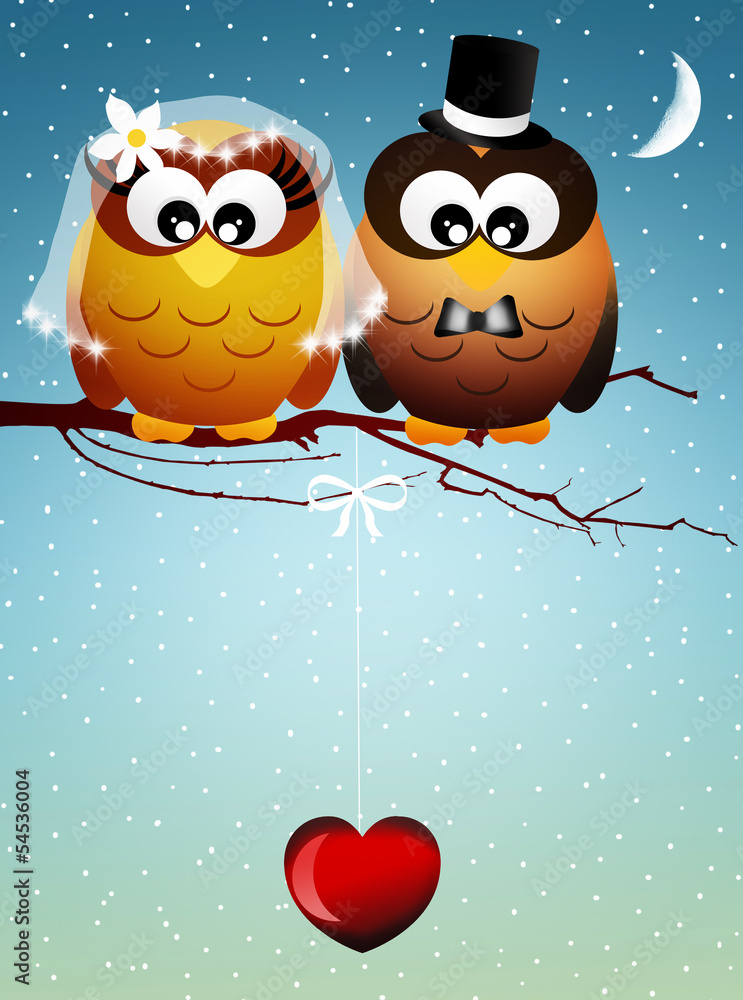 Fototapeta premium Wedding owls