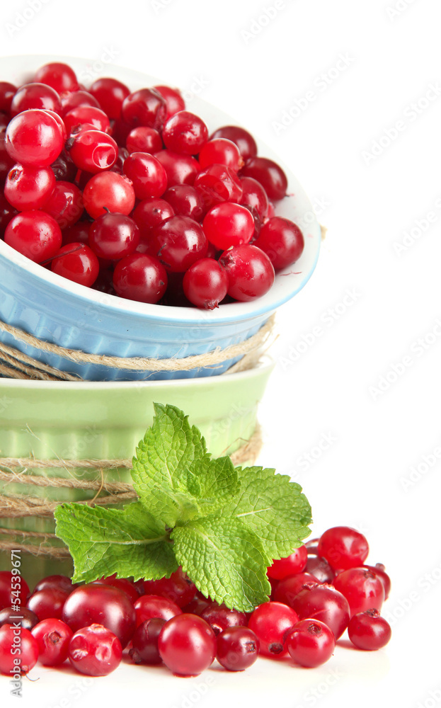 Ripe red cranberries in bowls, isolated on white. Ripe red cranberries in bowls, isolated on white.