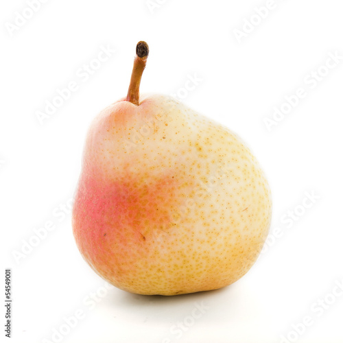 pear fruit photo