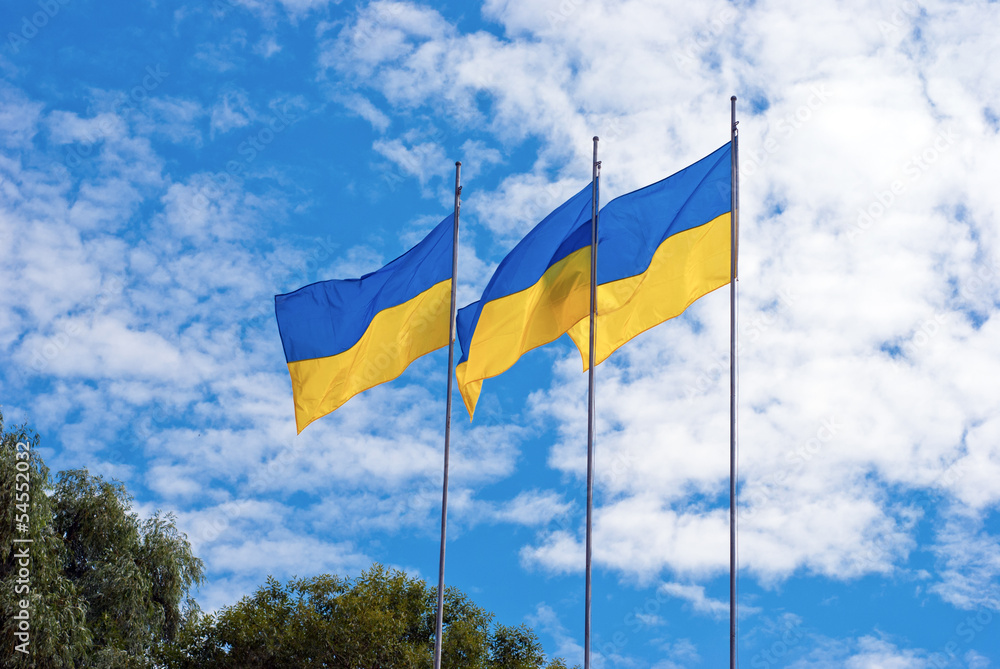 Ukrainian flags on a background of blue sky Ukrainian flags on a background of blue sky
