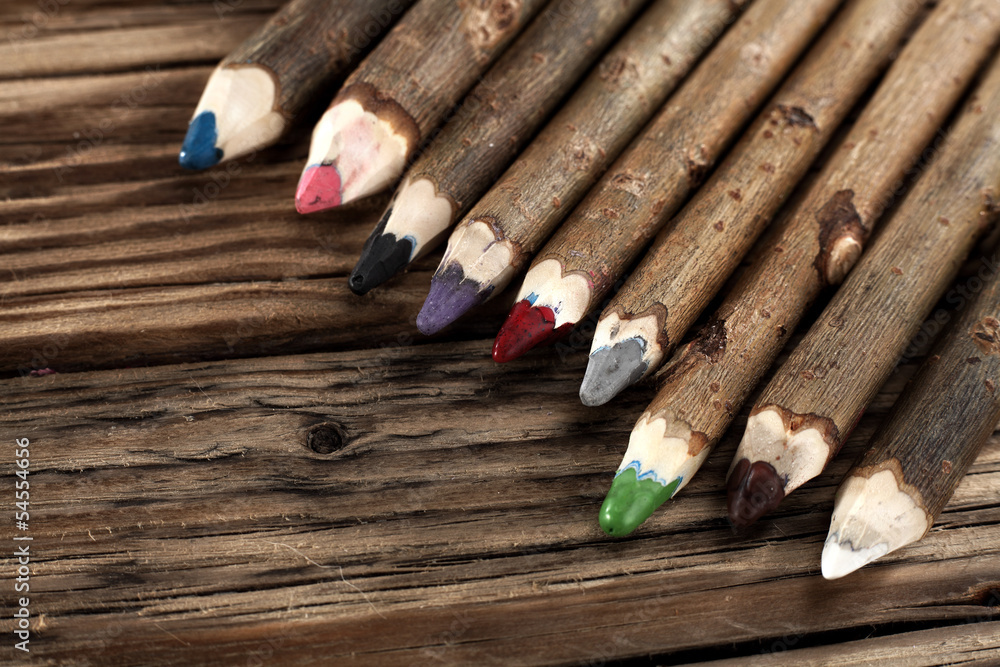 pencilis pencilis
