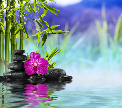 Purple Orchid, Stones and Bamboo on the water