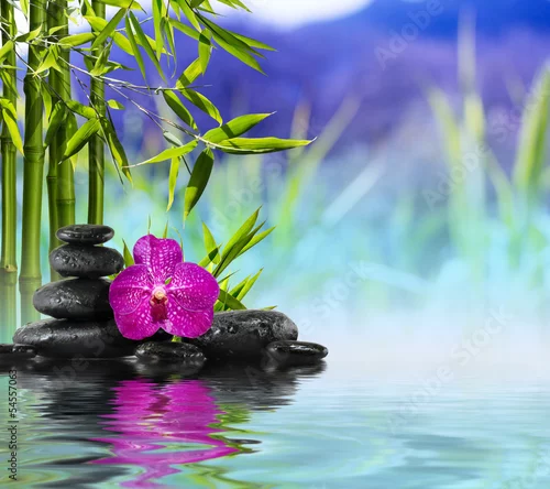 Obraz Purple Orchid, Stones and Bamboo on the water