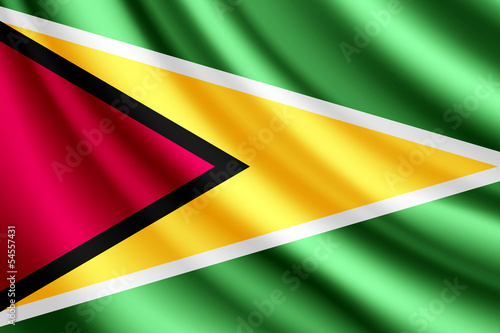 Waving flag of Guyana, vector