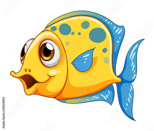 A small yellow fish