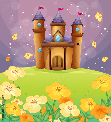 A beautiful castle in the fields