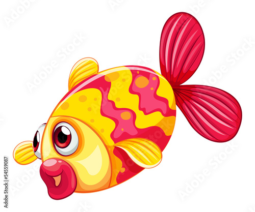 A pouty fish