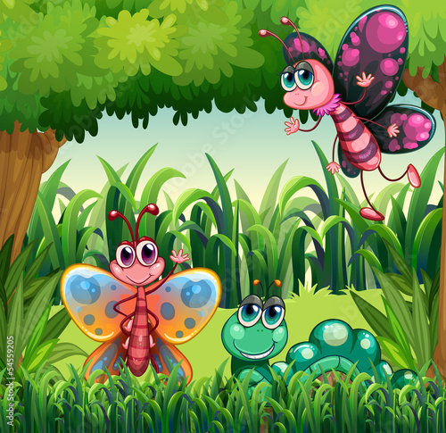 Insects at the forest