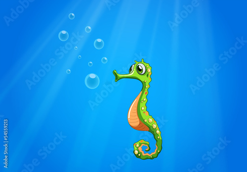 A seahorse under the sea