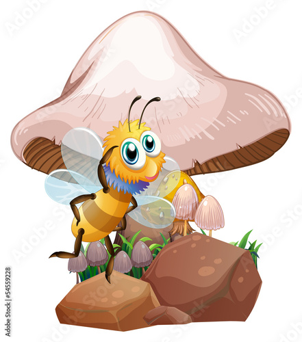 A bee near the mushrooms