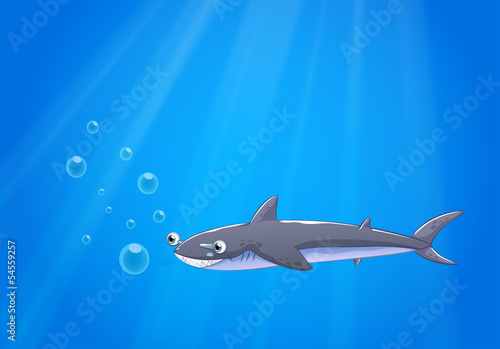 A shark under the sea
