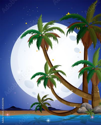 A beach with a bright fullmoon