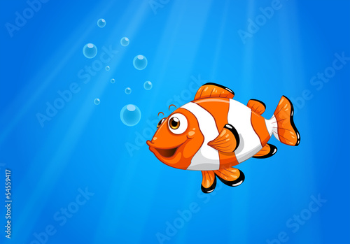 A sea with a nemo fish