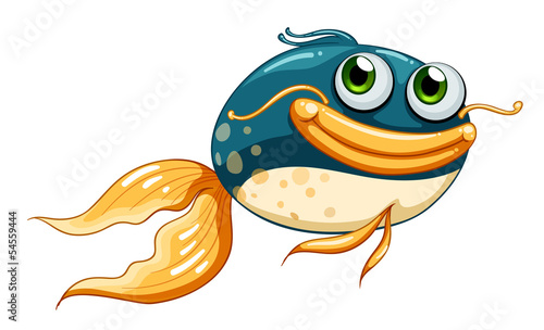 A fish with big eyes