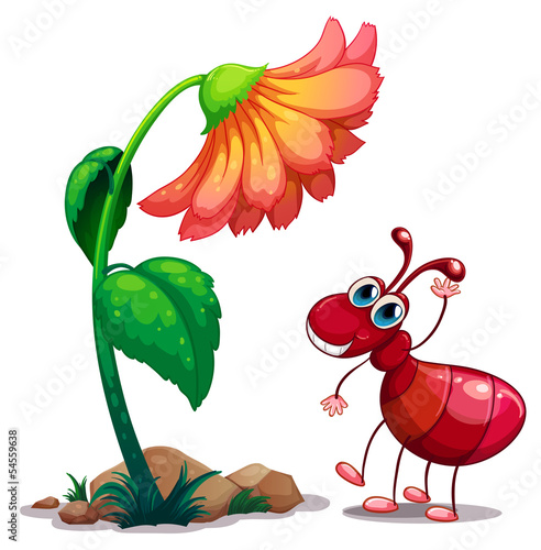 A giant flower beside the red ant