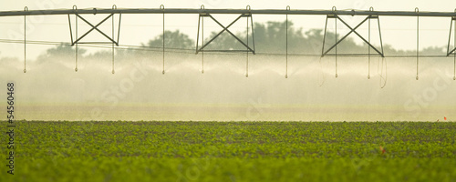 Irrigation on field