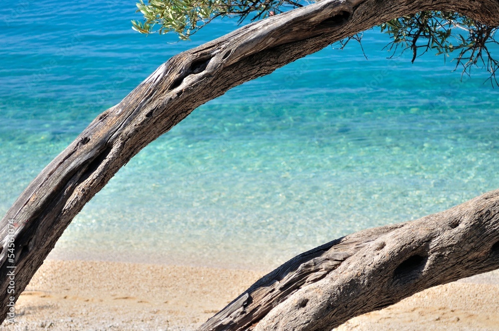 Amazing tropical beach with turquoise water and framed by tree Amazing tropical beach with turquoise water and framed by tree