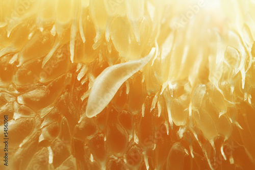 Texture of pamelo pulp