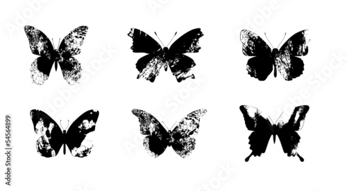 Butterflies
