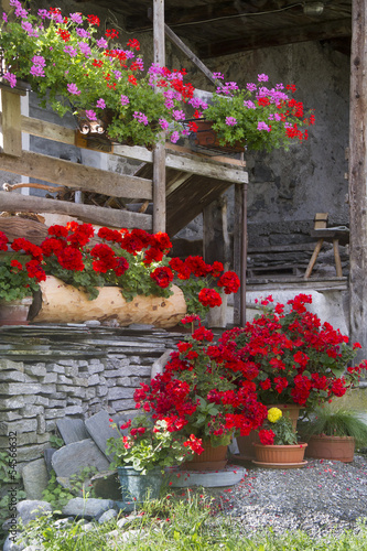 Wallpaper Mural Cottage flowers Torontodigital.ca