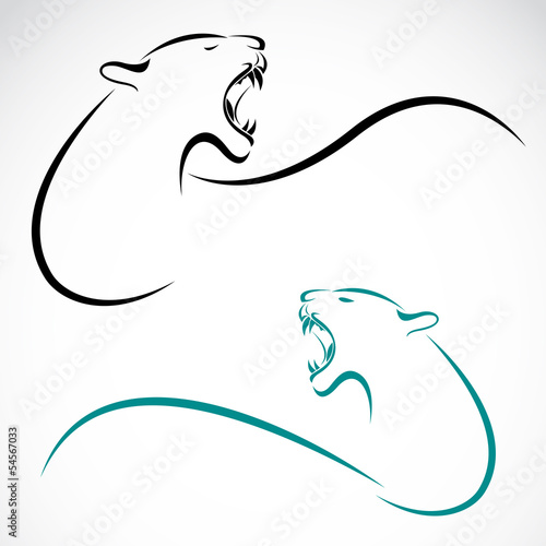 Vector of tiger design on white black ground. Animals.