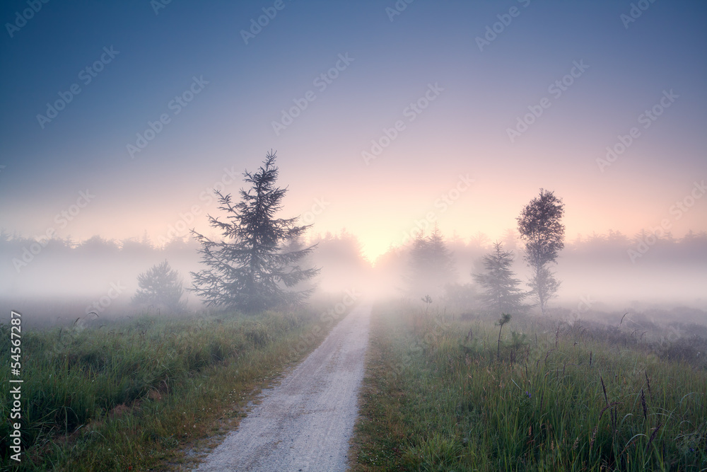 ground road into fog at sunrise