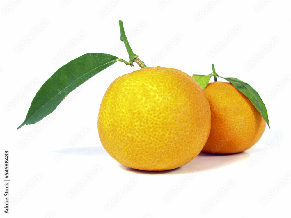 Two Tangerine Two Tangerine