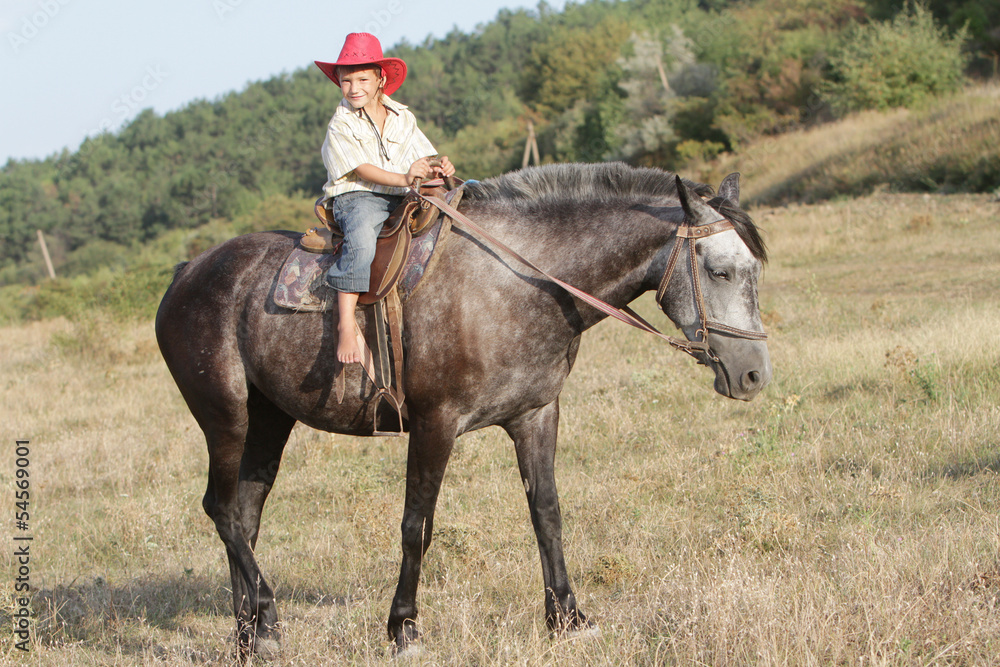 boy riding a horse on farm outdoor portrait