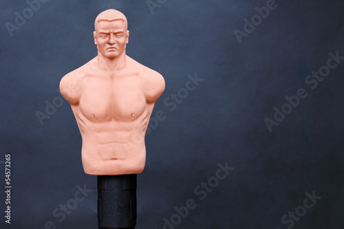 Freestanding Punch Bag