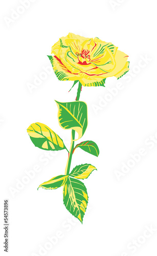 Gelbe freischwebende Rose