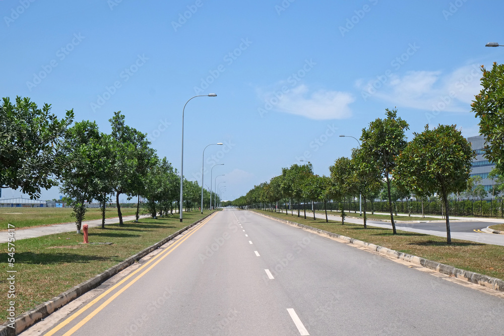 Tree Lined Road In The Countryside