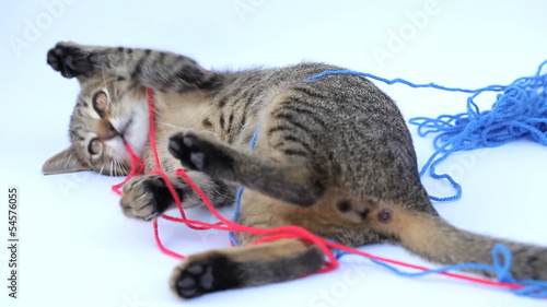 Kitten playing with wool ball