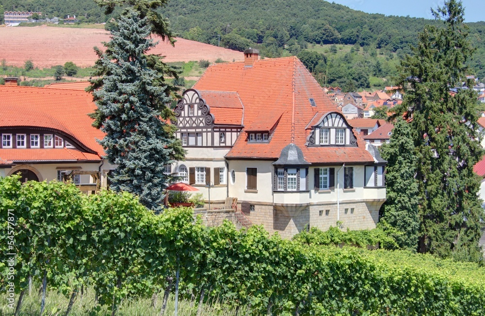 vignoble du palatinat