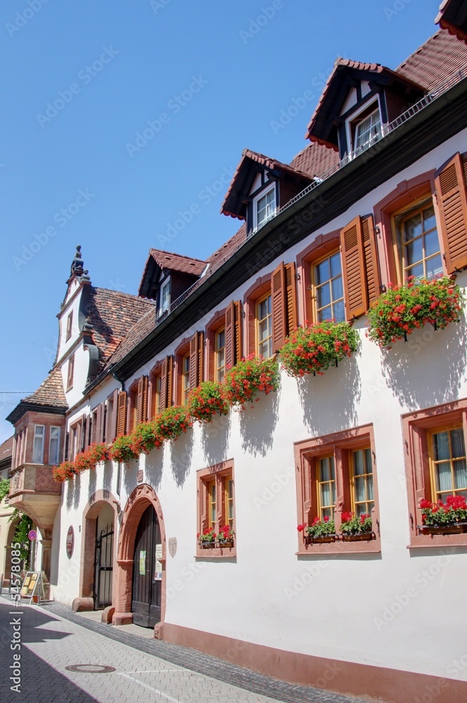 Obraz premium village viticole allemand