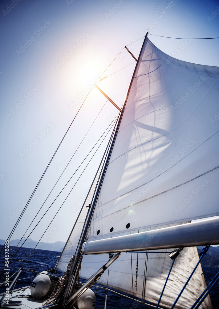 Fototapeta premium Sail of the Yacht