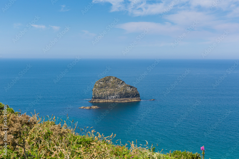 Naklejka premium Gull Rock Trebarwith Strand Cornwall