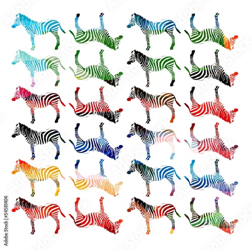 Colorful vector zebra pattern
