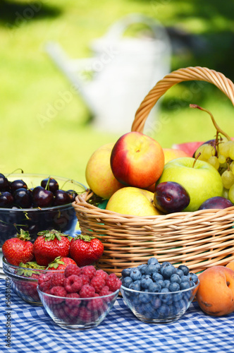 Basket of fresh organic fruits in the garden