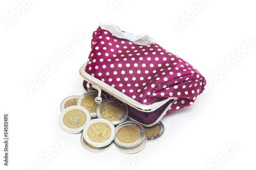Beautiful purse with coins isolated on white background