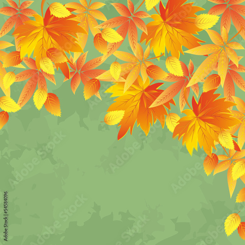 Vintage autumn background, leaf fall