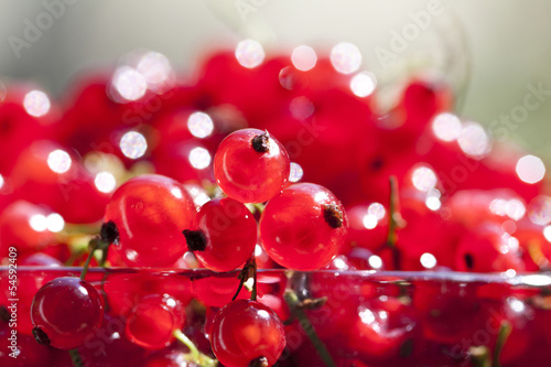Close up on red currants