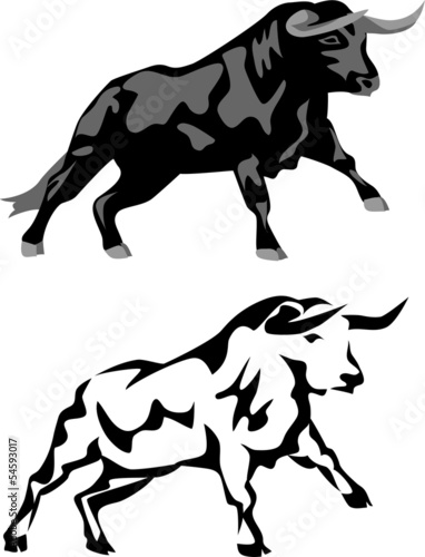 attacking black bull